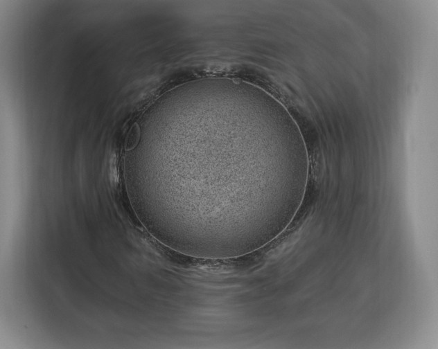 X0000112920962200908311254