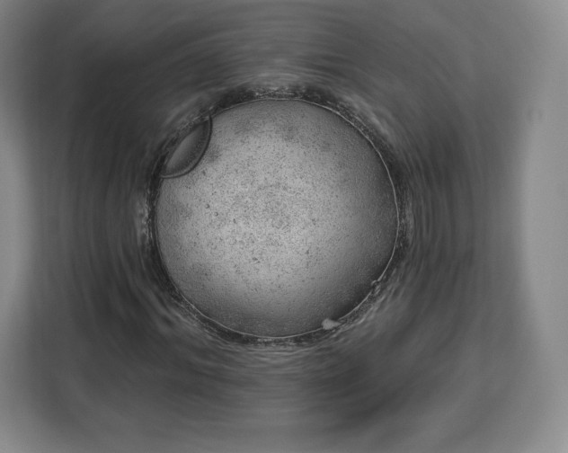 X0000112920964200908311254