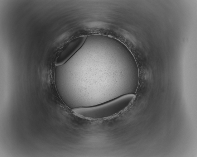 X0000112920965200908311254