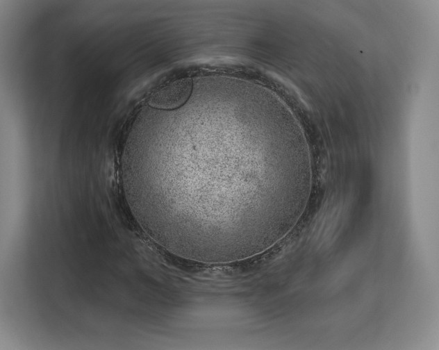 X0000112920966200908311254