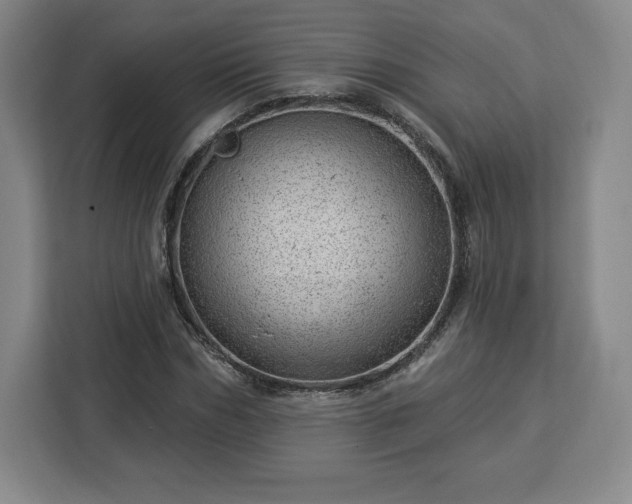 X0000112920970200908311254