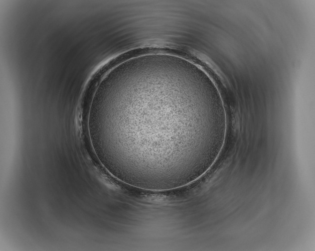X0000112920971200908311254