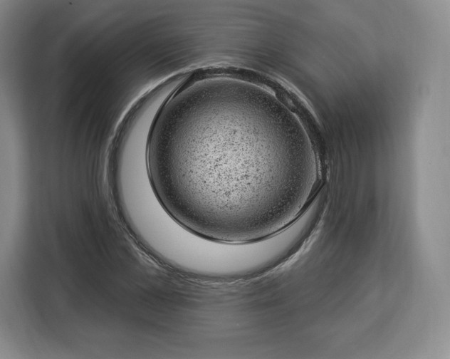 X0000112920973200908311254