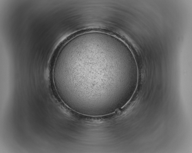 X0000112920975200908311254