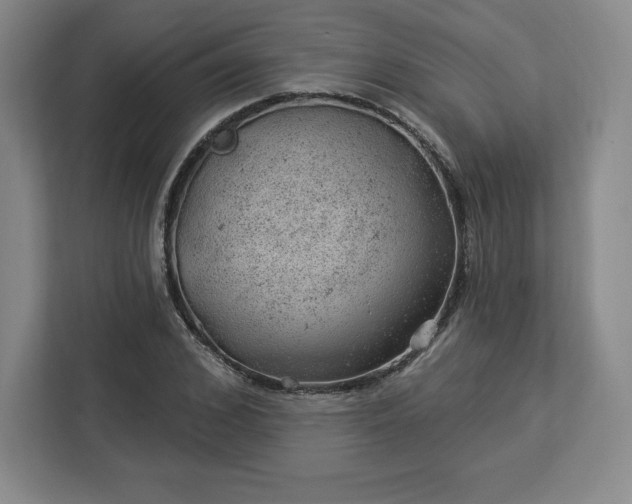 X0000112920976200908311254