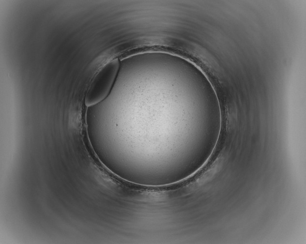 X0000112920977200908311254