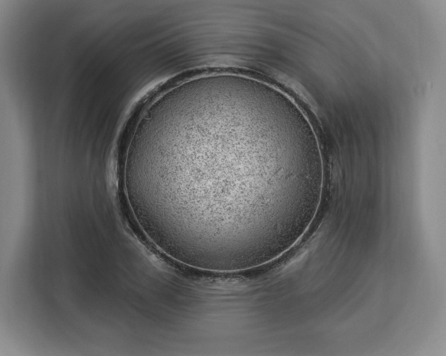 X0000112920979200908311254