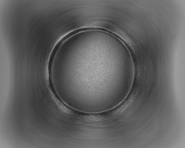 X0000112920980200908311254
