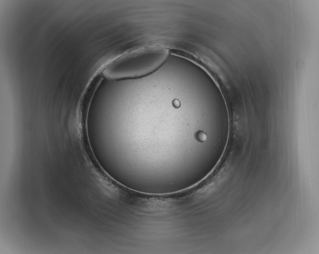 X0000112920981200908311254
