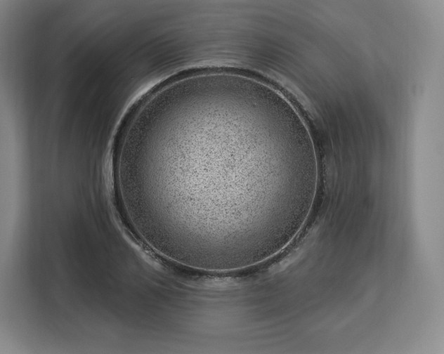 X0000112920982200908311254