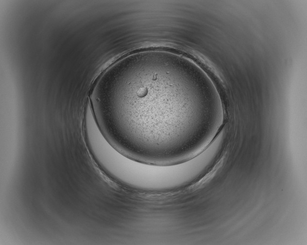 X0000112920985200908311254
