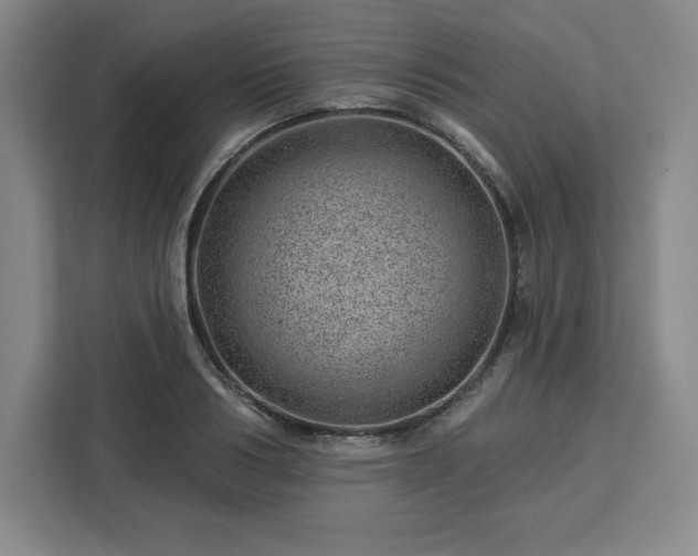 X0000112920986200908311254