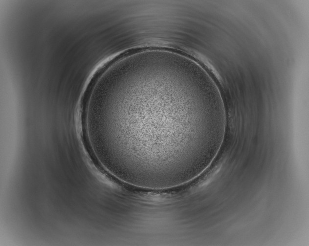 X0000112920987200908311253