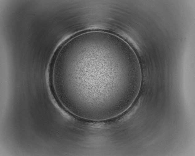 X0000112920991200908311253