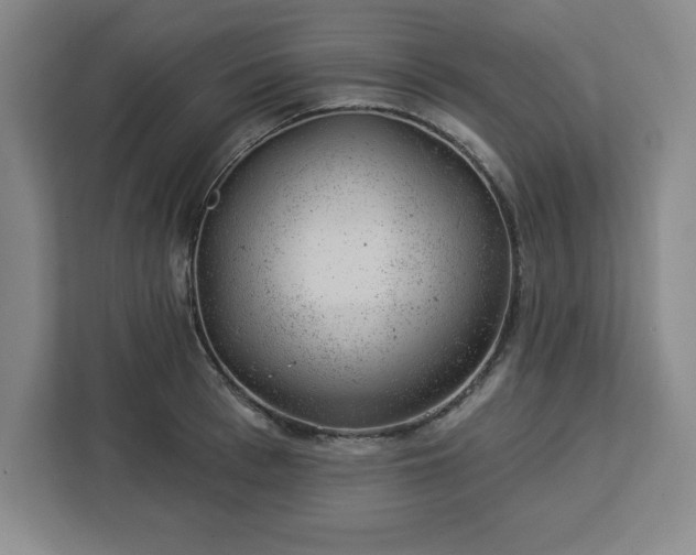 X0000112920993200908311253