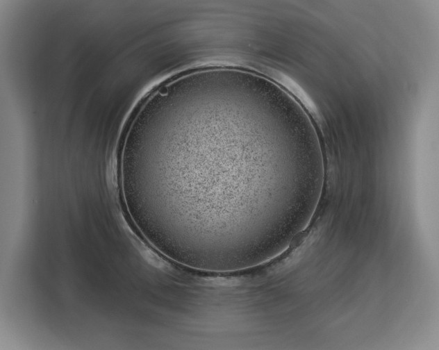 X0000112920996200908311253