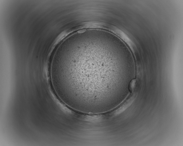 X0000112920997200908311253