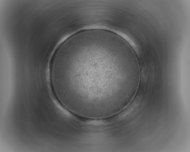X0000112920998200908311253