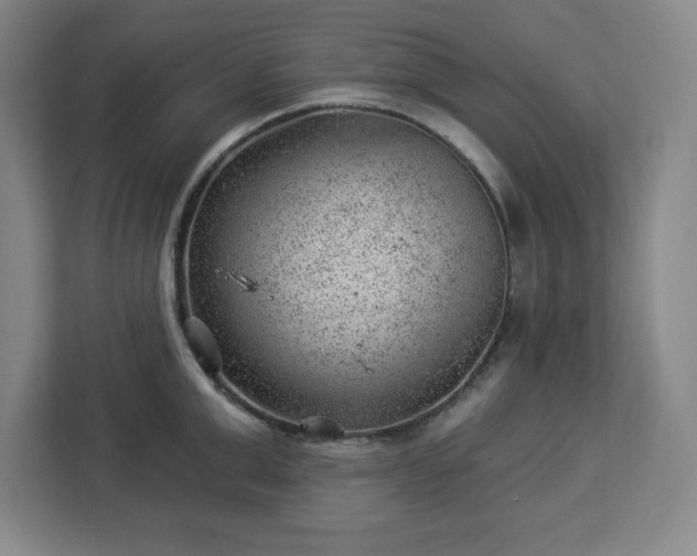 X0000112920999200908311253