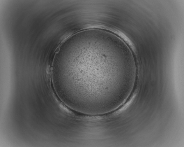X0000112921001200908311253