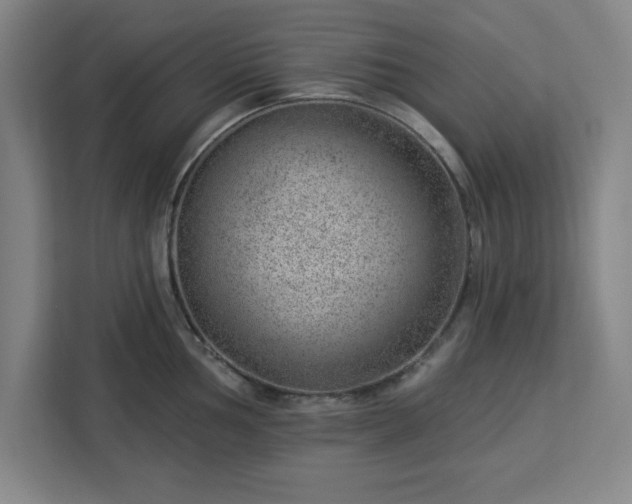 X0000112921002200908311253
