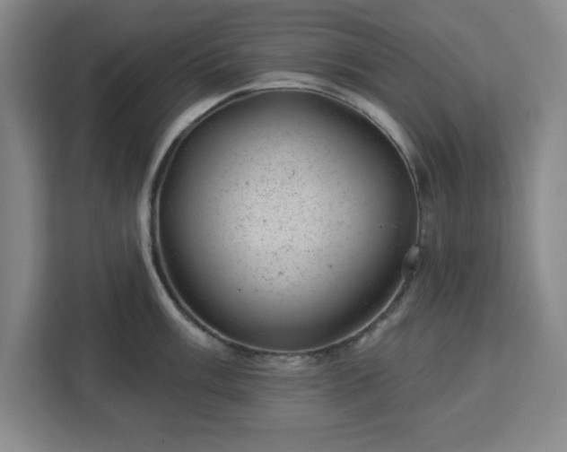 X0000112921003200908311253
