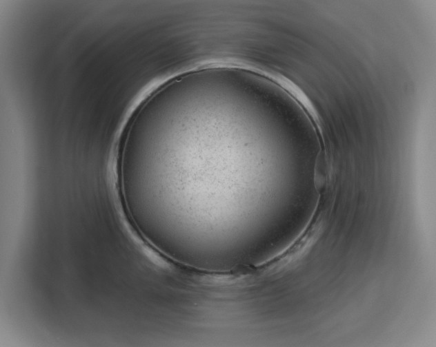 X0000112921005200908311253
