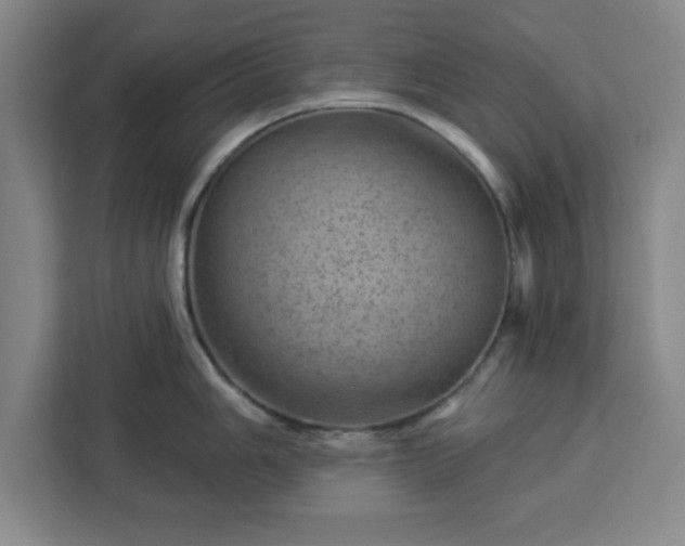 X0000112921006200908311253