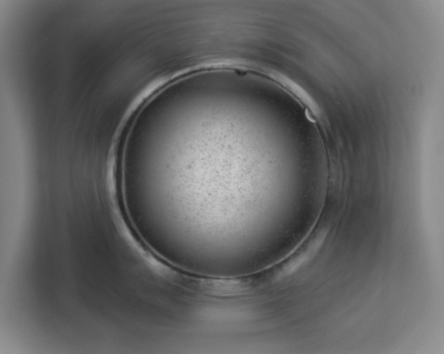 X0000112921007200908311253