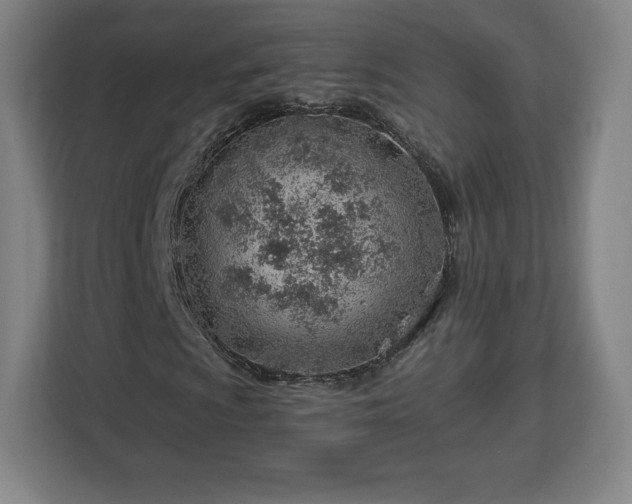 X0000112921009200908311253