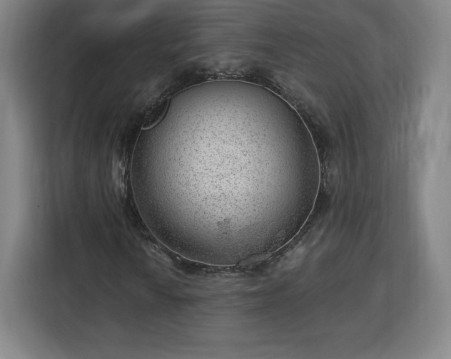 X0000112921010200908311253