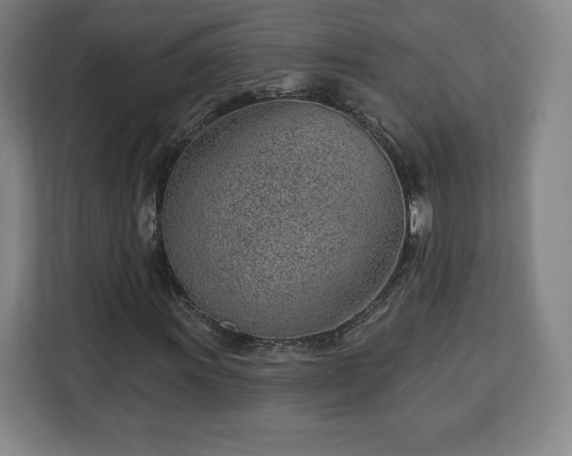 X0000112921011200908311253