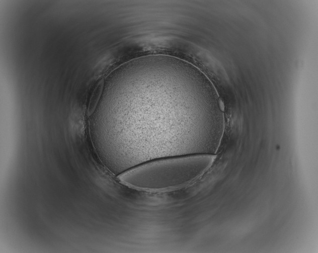 X0000112921012200908311253