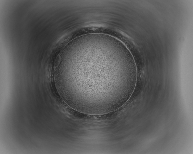 X0000112921014200908311253