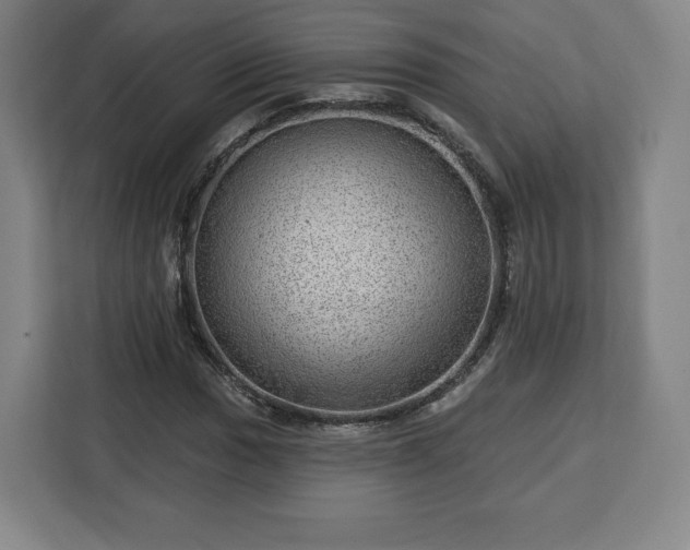 X0000112921017200908311253