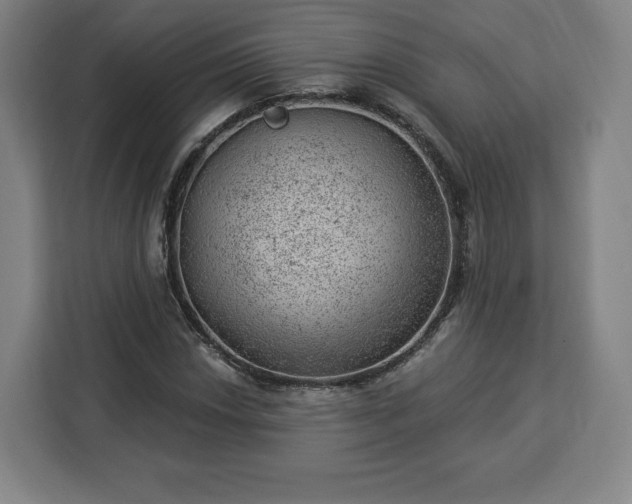 X0000112921018200908311253