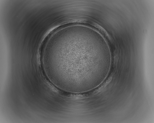 X0000112921019200908311253