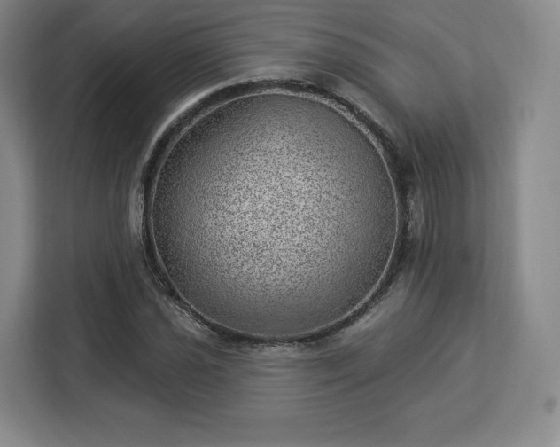 X0000112921021200908311253