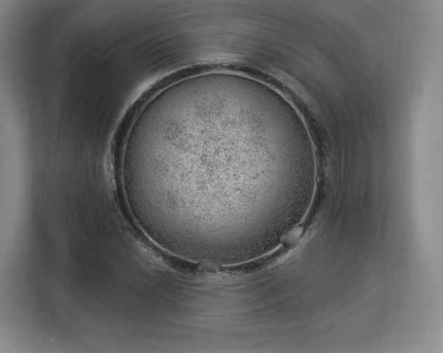 X0000112921022200908311253