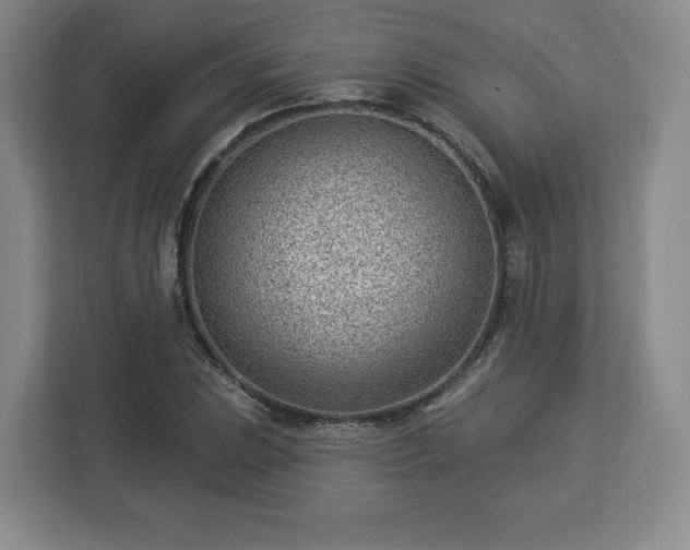 X0000112921023200908311253