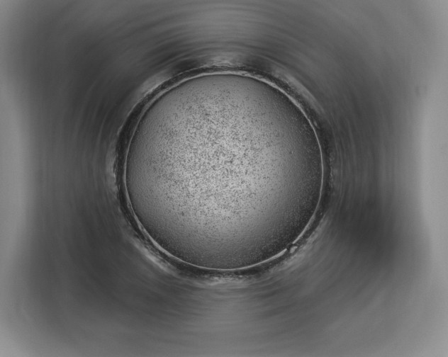 X0000112921026200908311253
