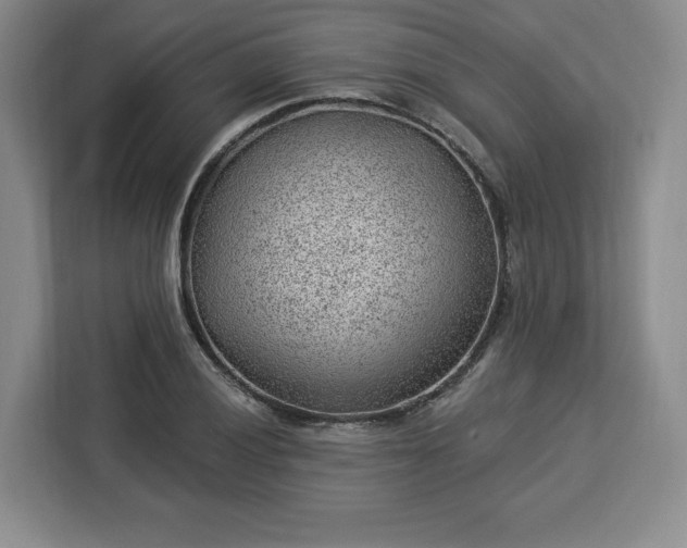 X0000112921028200908311253