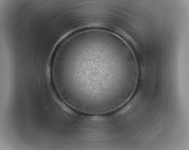 X0000112921029200908311253