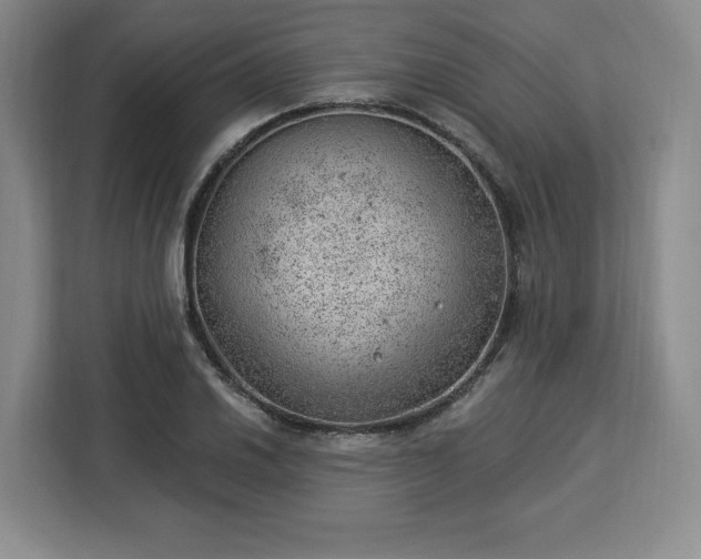 X0000112921030200908311253