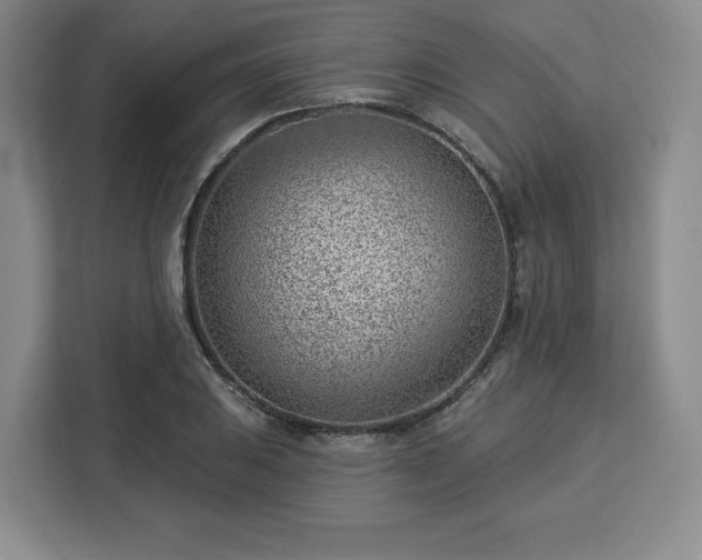 X0000112921031200908311253