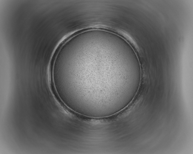X0000112921032200908311253