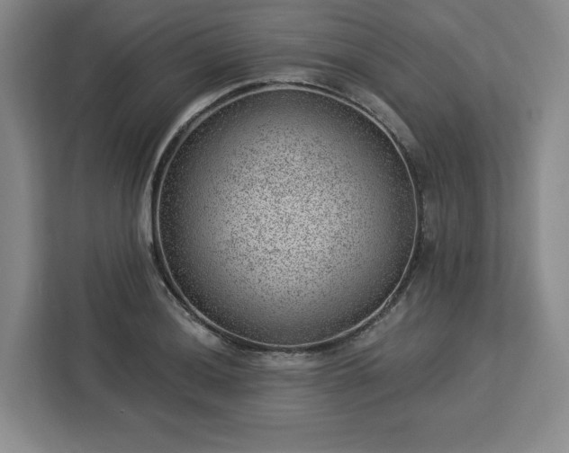 X0000112921036200908311253