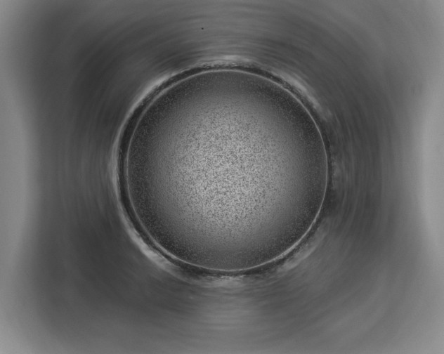 X0000112921038200908311253