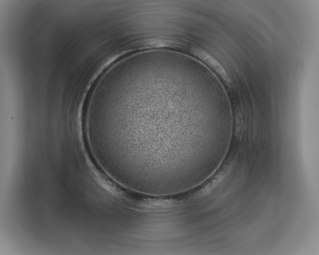 X0000112921039200908311253