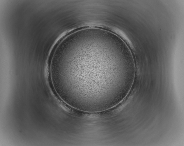 X0000112921040200908311253